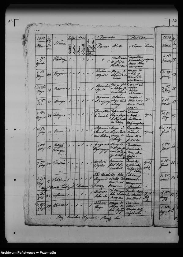 Obraz 8 z jednostki "[Kopie ksiąg metrykalnych parafii Chliple z filią Sadkowice (dekanat Mościska)]"