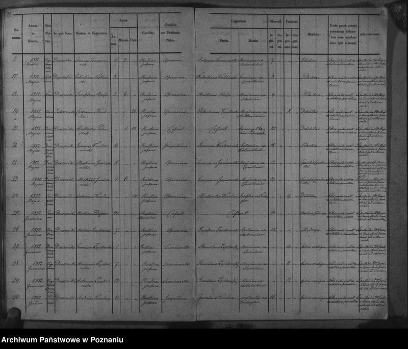 Obraz 19 z jednostki "Duplicat baptisatorum, copulatorum, mortuorum"