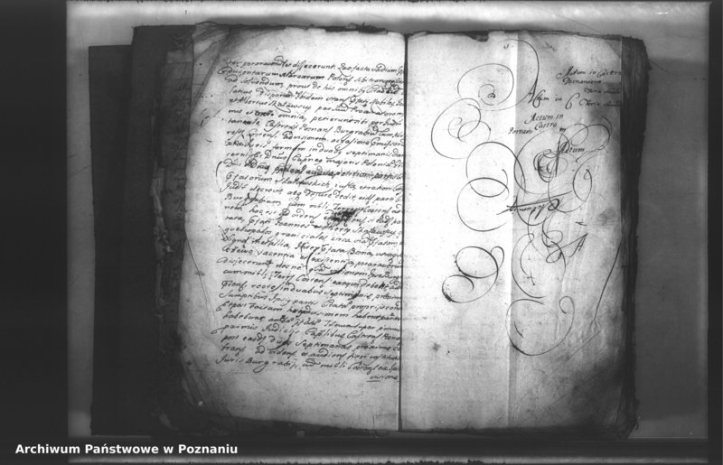 Obraz 5 z jednostki "Relationes [protocollon]"