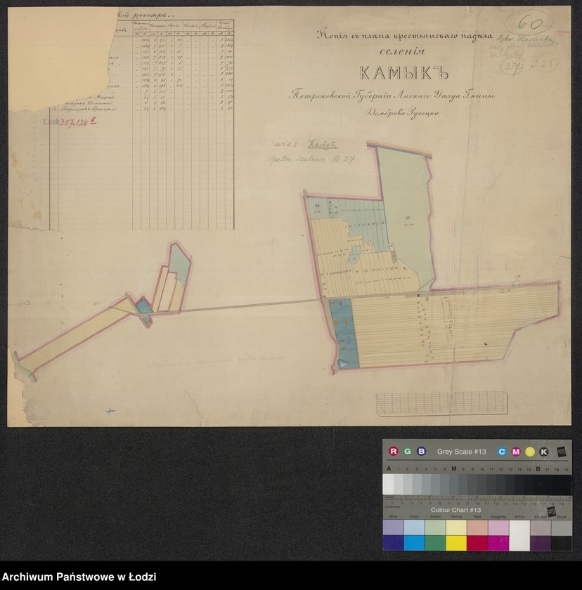 Obraz 1 z jednostki "Kopia z plana krestianskago nadela selenia Kamyk petrokovskoi gubernii, laskago uezda, gminy Dombrova Rusecka"