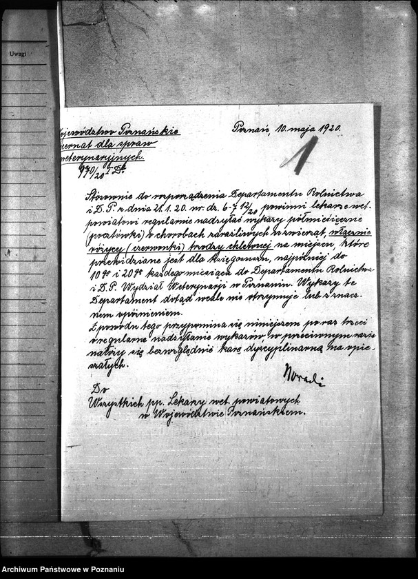 Obraz 5 z jednostki "Nosacizna - Międzychód"