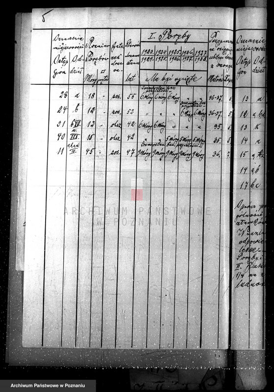 Obraz 9 z jednostki "Majętność leśna /Siekówko/ powiat kościański"