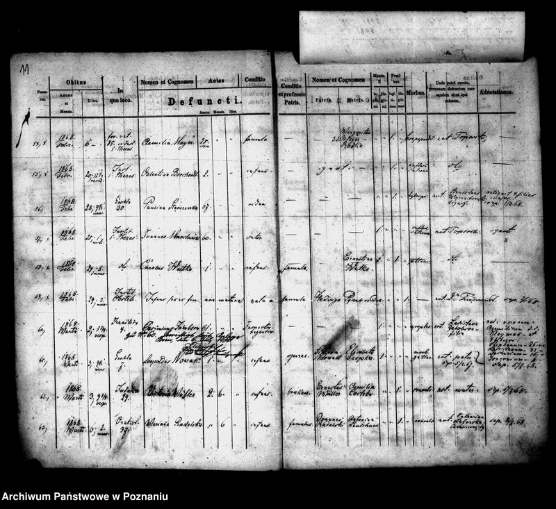 Obraz 8 z jednostki "Księga zgonów"