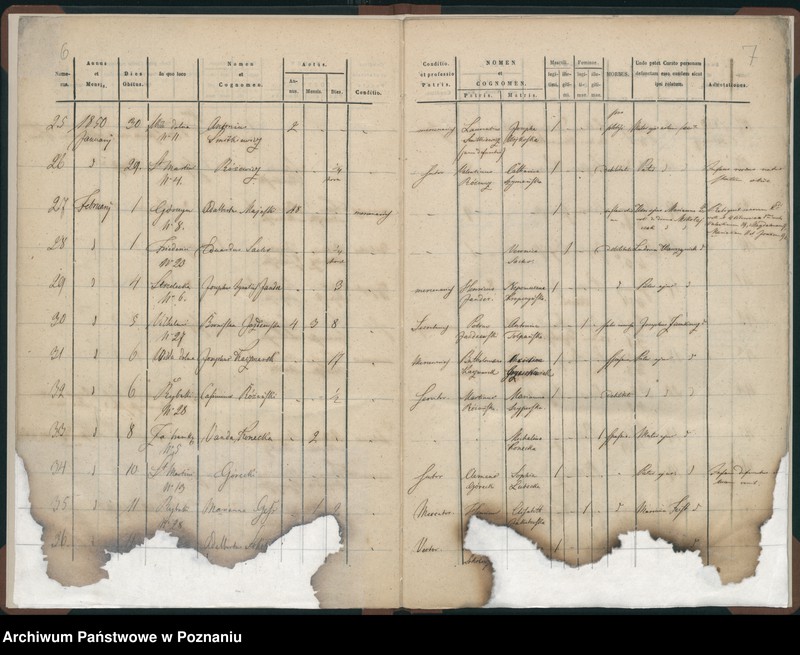 Obraz 6 z jednostki "Księga zgonów"