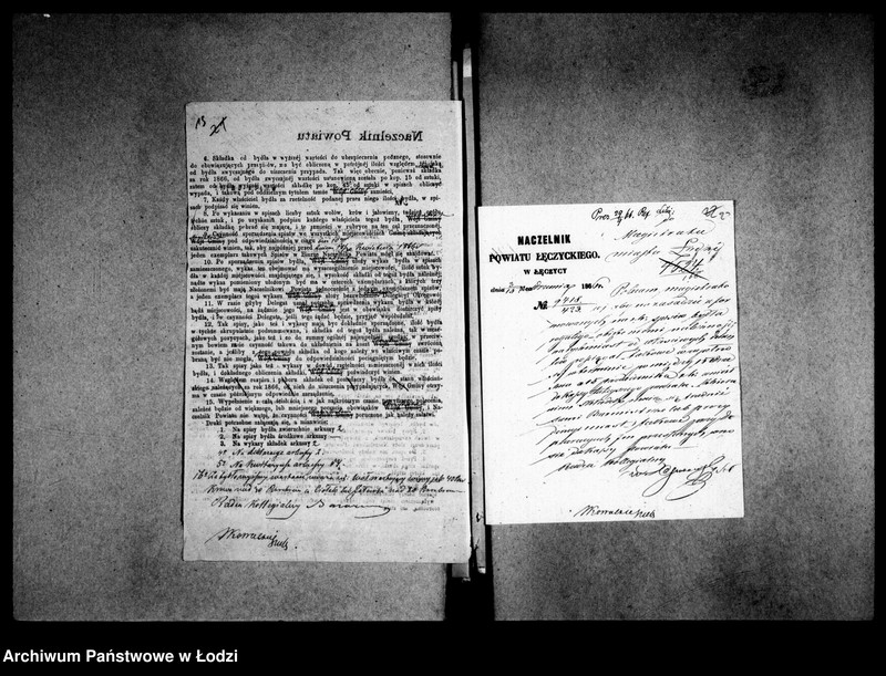 Obraz 19 z jednostki "Akta tyczące się bydła domowego"