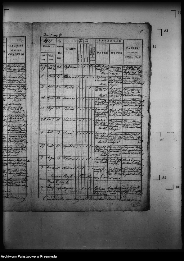 Obraz 9 z jednostki "[Kopie ksiąg metrykalnych parafii Powroźnik (dekanat Muszyna)]"