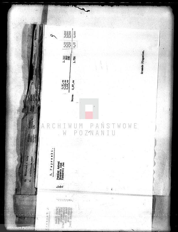 Obraz 13 z jednostki "/Sprawozdania z zalesienia nieużytków na terenie powiatu kępińskiego"