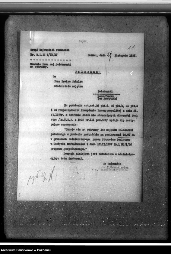 Obraz 15 z jednostki "Las majętności Dalabuszki powiat gostyński"