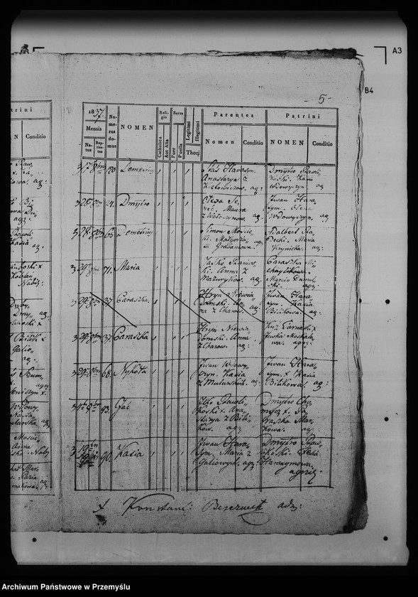 Obraz 9 z jednostki "[Kopie ksiąg metrykalnych parafii Krynica (dekanat Medenice)]"