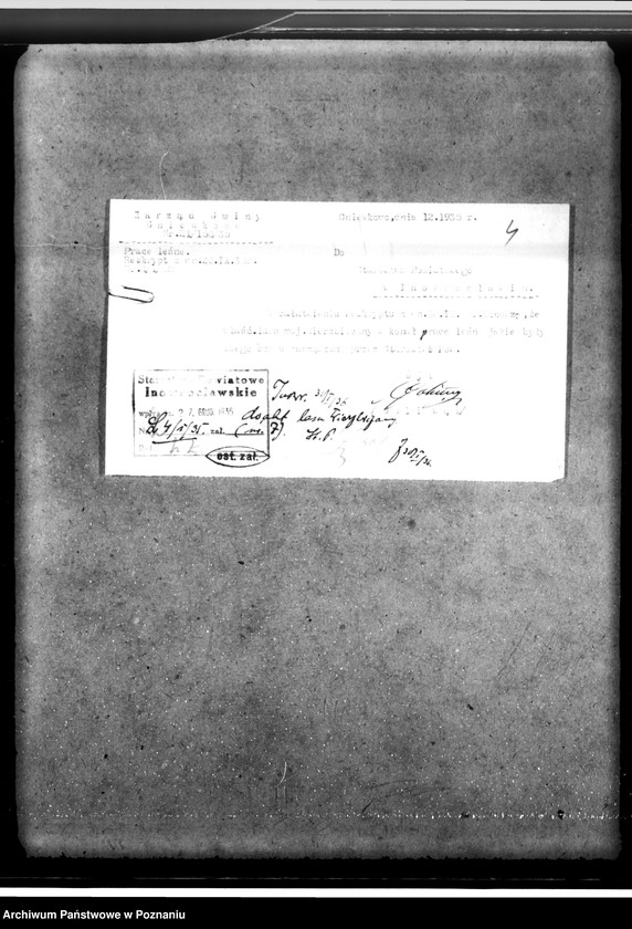 Obraz 8 z jednostki "Las majętności Wierzbiczany w powiecie inowrocławskim"