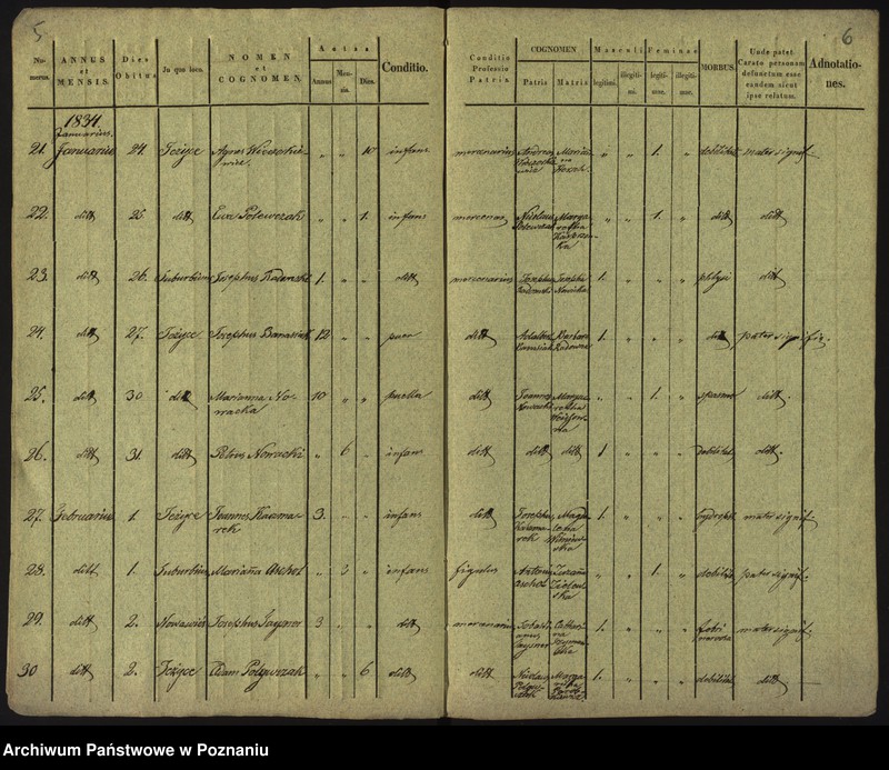 Obraz 6 z jednostki "Księga zgonów"