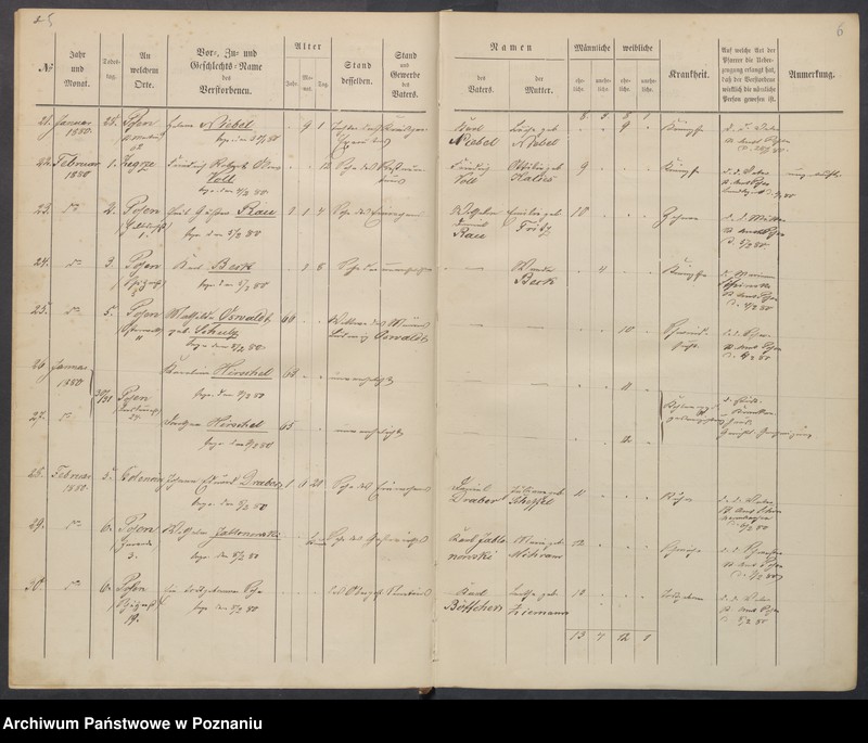 Obraz 6 z jednostki "Sterbenbuch"