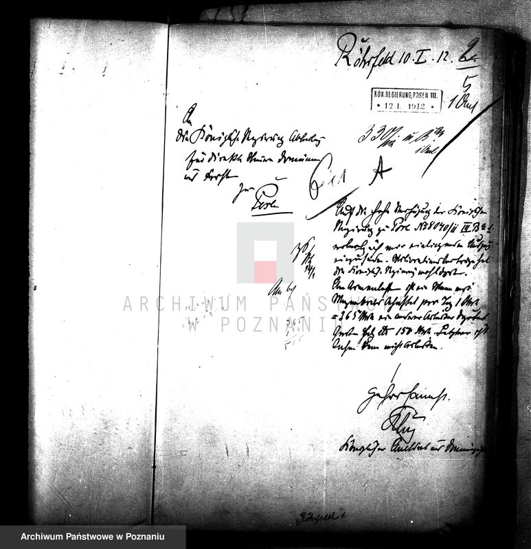 Obraz 9 z jednostki "Dzierżawa majątku państwowego Przybroda"