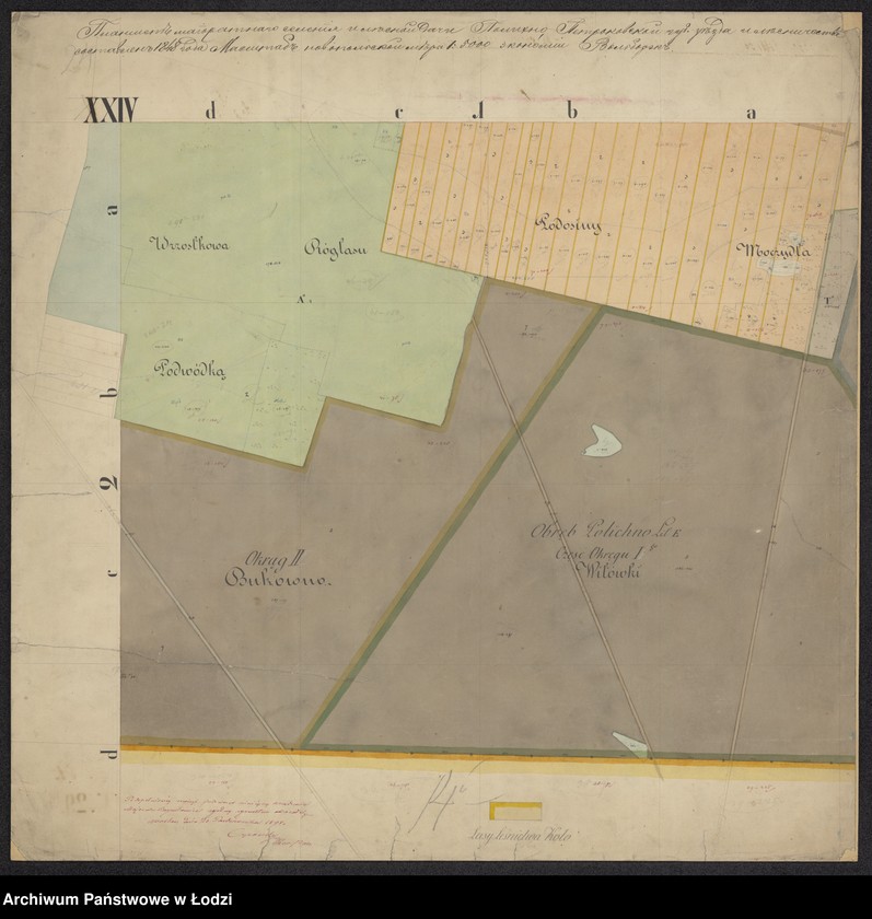 Obraz 11 z jednostki "Plan urządzenia majoratu Wolbórz"