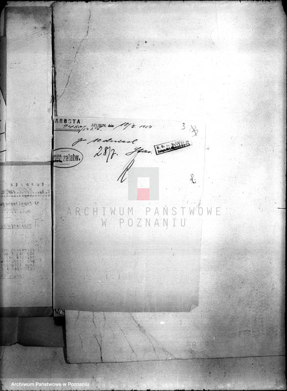 Obraz 7 z jednostki "/Sprawa przewłaszczenia na rzecz Tomaszewskiego nieruchomości w Szerokim Kamieniu powiecie szubińskiego"