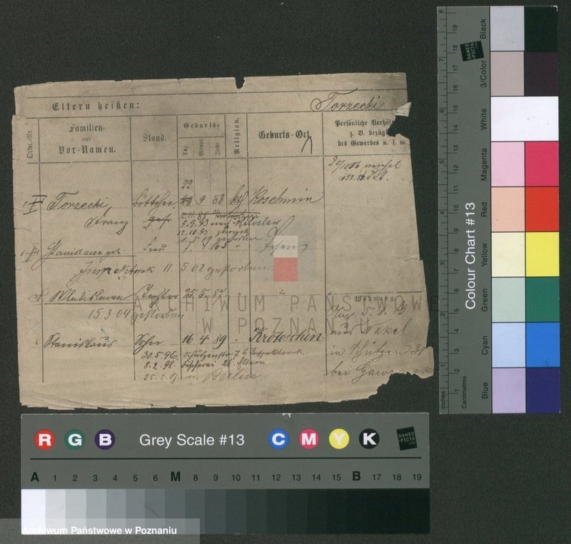 Obraz 5 z jednostki "Torzecki - Trawicki"