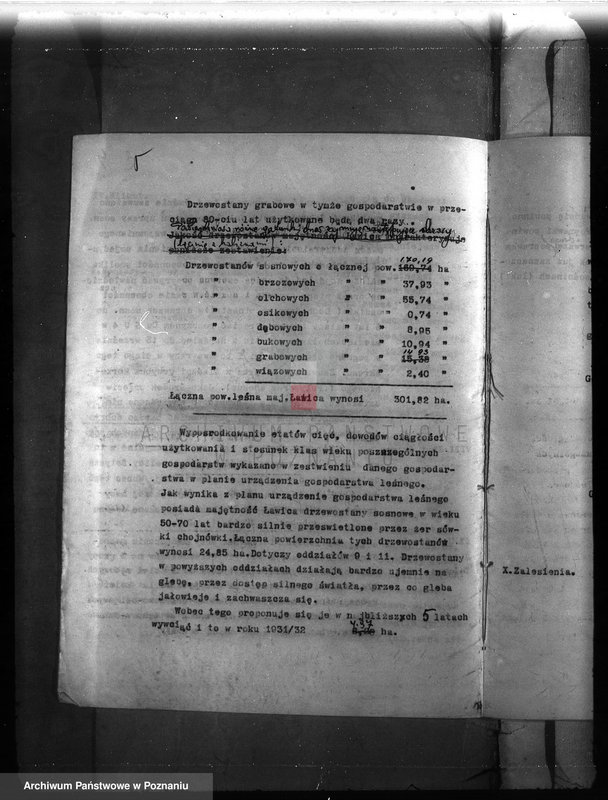 Obraz 8 z jednostki "Majętność leśna Ławica w powiecie międzychodzkim /plan urządzenia gospodarstwa leśnego/"