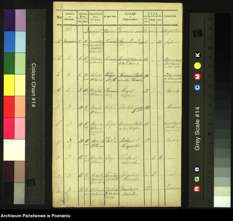 Obraz 3 z jednostki "Księga zgonów"