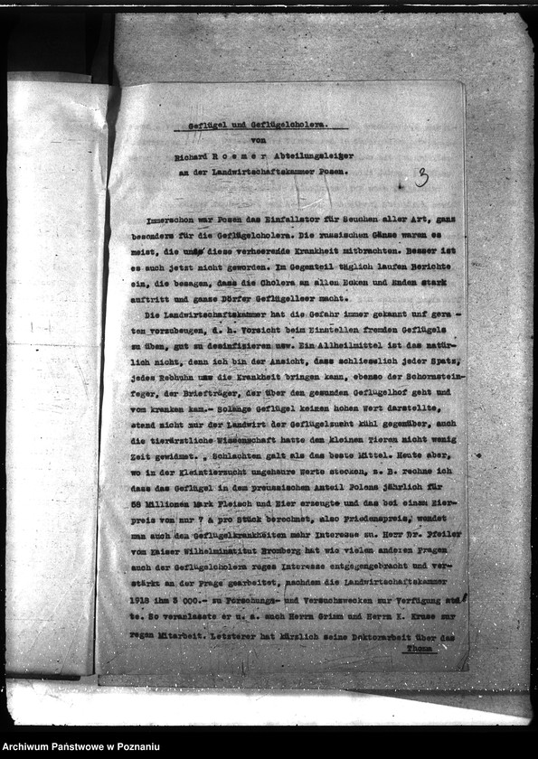 Obraz 7 z jednostki "Instytut Higieny Zwierząt w Bydgoszczy"