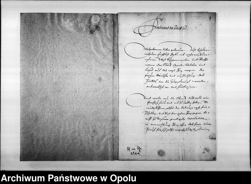 Obraz 3 z jednostki "Ferdynand III cesarz do starosty opolskiego Fryderyka Oppersdorfa w sprawie wolnych targów i budowy domów w mieście Opolu, Raciborzu i"
