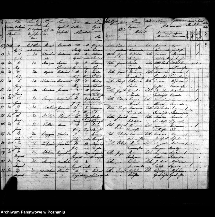 image.from.unit.number "Duplicatus baptisatorum, copulatorum, mortuorum"