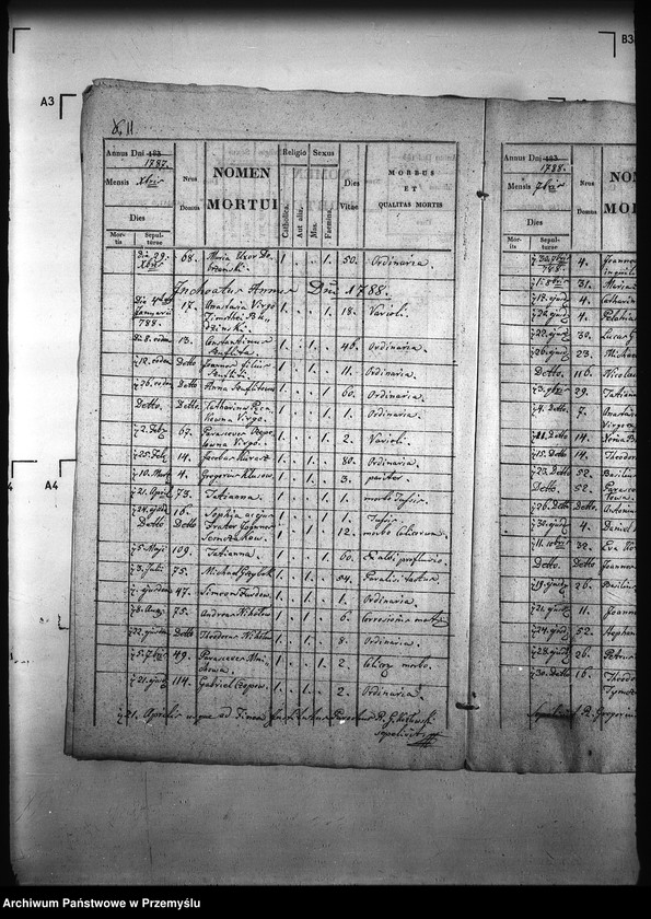 Obraz 18 z jednostki "[Kopie ksiąg metrykalnych parafii Kramarzówka (dekanat Pruchnik)]"