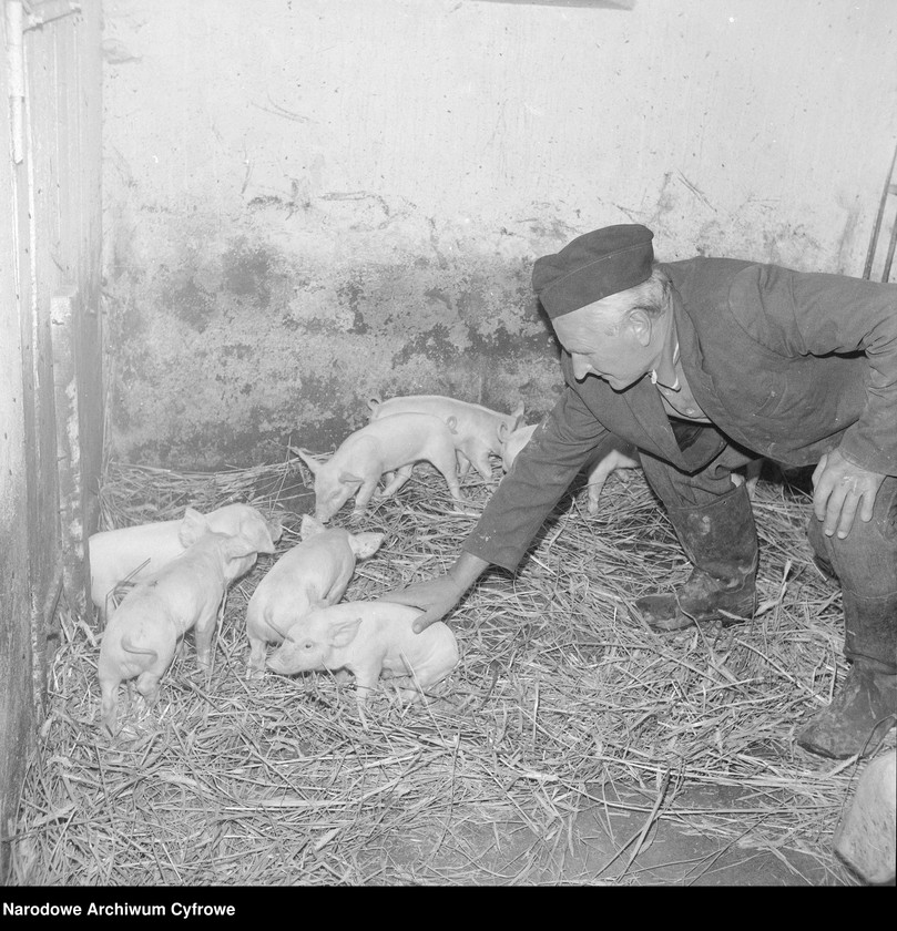 image.from.unit.number "Spółdzielnia Kółek Rolniczych w Siemyślu"