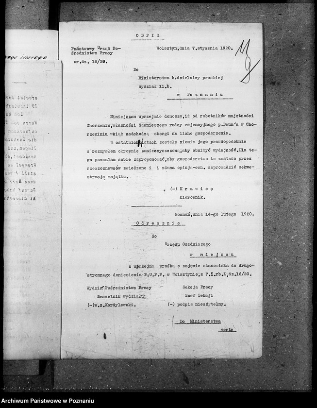 Obraz 15 z jednostki "Majątki zaniedbane"