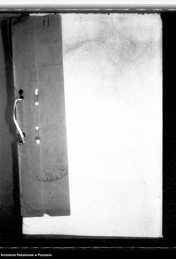 Obraz 4 z jednostki "Reichsdeutschtumsfond"