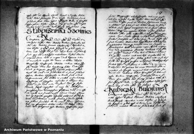 Obraz 20 z jednostki "Inscriptiones, relationes, decreta officii [inducta]"