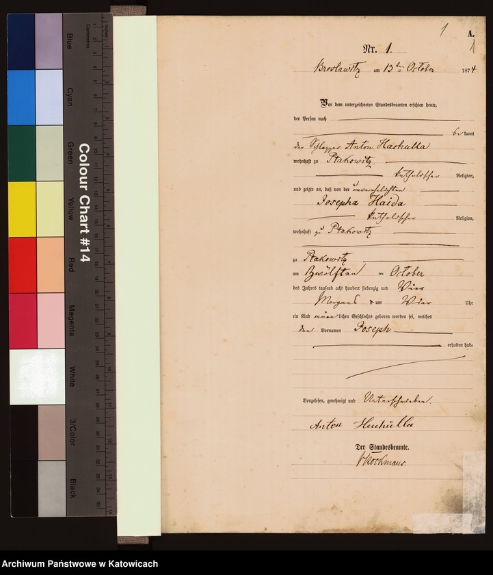 Obraz z jednostki "Księga urodzeń nr 1-21 (1874), 1-103 (1875), 1-94 (1876)"