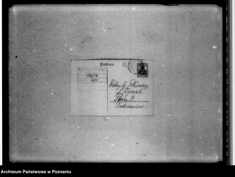 Obraz 16 z jednostki "Sprawozdania z Ponieca i Zbąszynia"