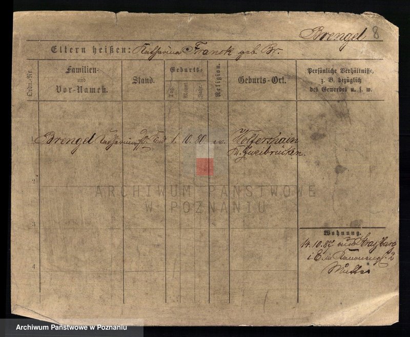 Obraz 10 z jednostki "Brengel - Bręczarska"