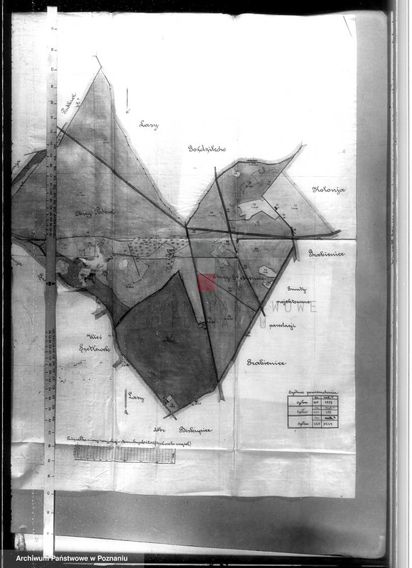 Obraz 20 z jednostki "Majątek Grabienice powiat koniński /nadzór nad gospodarką leśną/"