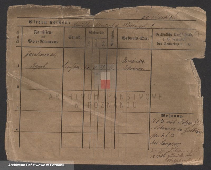 Obraz 7 z jednostki "Jankowiak (samotne kobiety)"