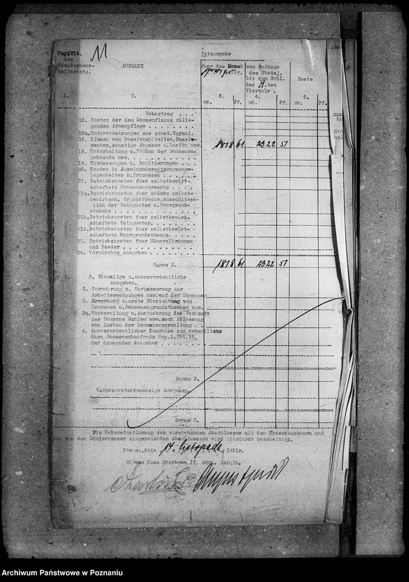 Obraz 16 z jednostki "Lasy państwowe"