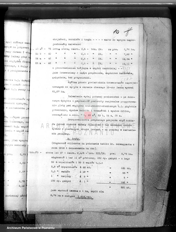 Obraz 14 z jednostki "Majętność leśna Porażyn w powiecie nowotomyskim"