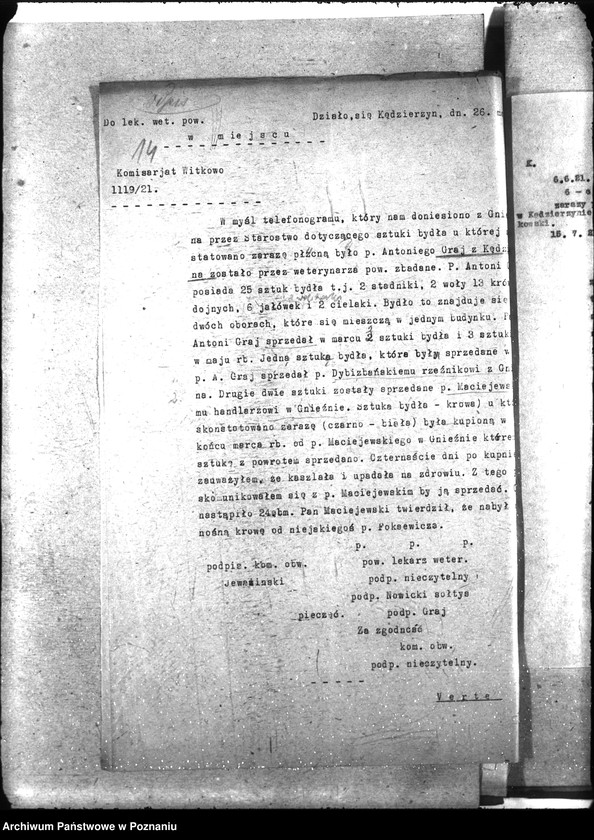 Obraz 19 z jednostki "Zaraza płucna - Witkowo"