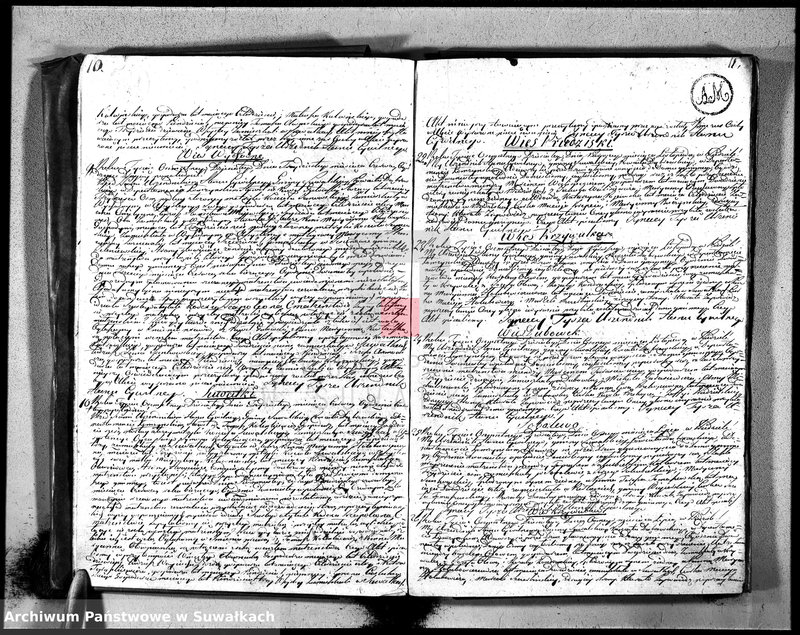 Obraz 8 z jednostki "Księga aktu ślubnego gminy suwalskiey, powiatu dąbrowskiego w departamencie łomżyńskim na rok 1810 1 Maja po 1 Maja 1811 roku"