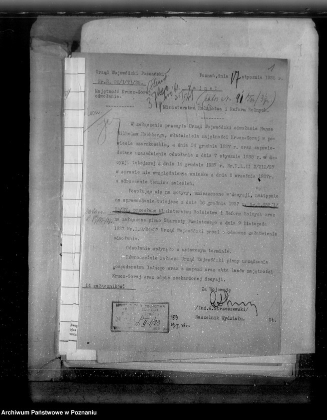 Obraz 5 z jednostki "Sprawa zalesienia majątku Krucz-Goraj"