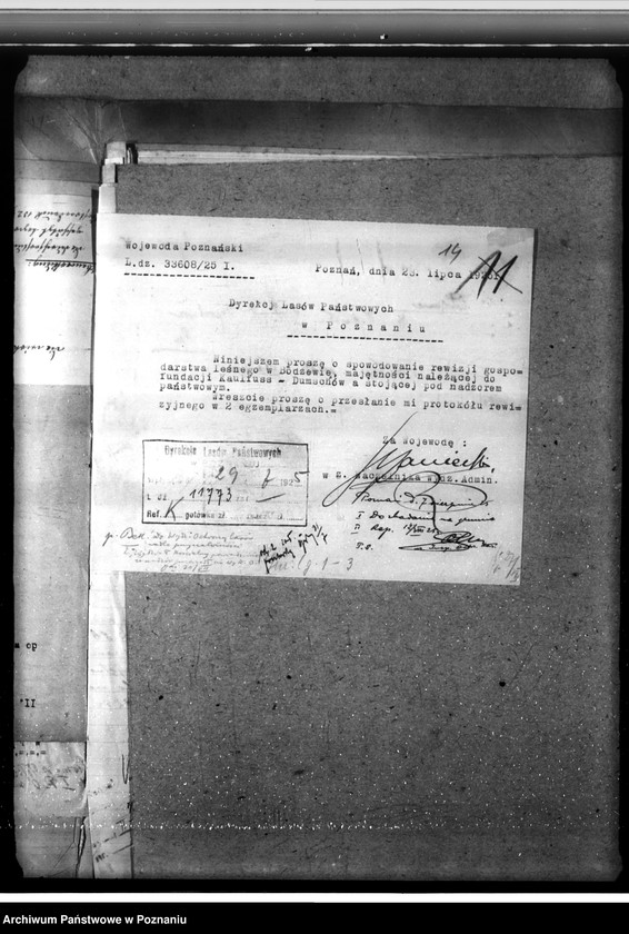 Obraz 18 z jednostki "Las fundacyjny Bodzewo w powiecie gostyńskim"