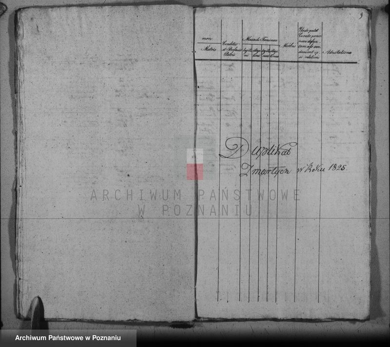 image.from.unit.number "Duplikat urodzonych, ślubów i zgonów"