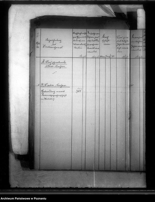 Obraz 11 z jednostki "Bildung der Draenage Genossenschaft Hochdorf Kreises Jarotschin /Wysogotówek/"