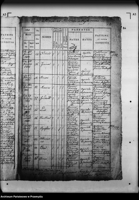 Obraz 5 z jednostki "[Kopie ksiąg metrykalnych parafii Rajtarowice z filiami Rogóźno, Sadkowice (dekanat Mościska)]"