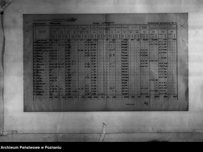 Obraz 18 z jednostki "/Statystyka produkcji rolnej - zestawienie powiatowe dotyczące zbiorów z terenu powiatu międzychodzkiego/"