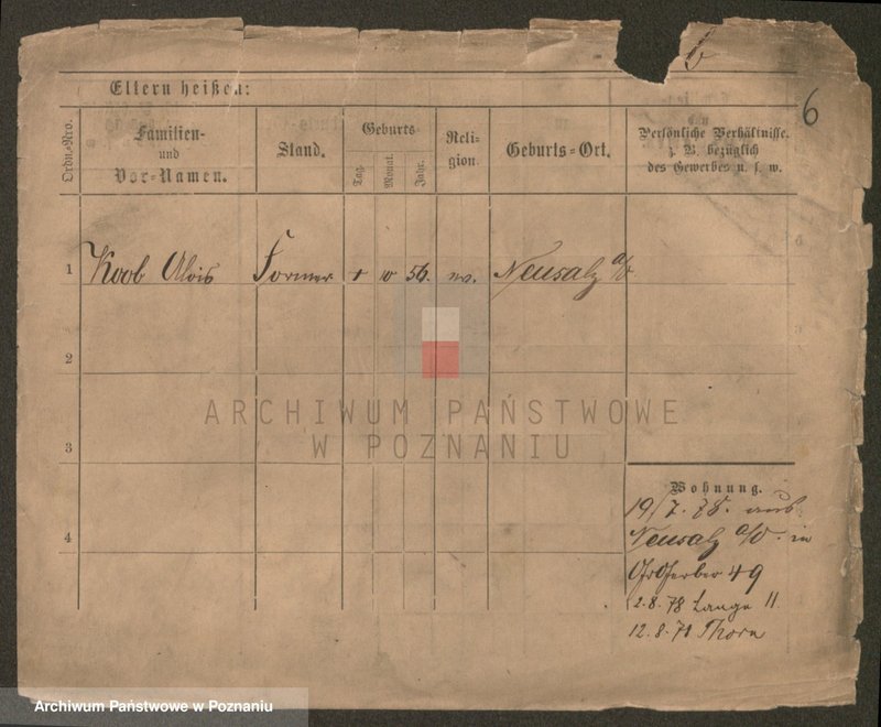 Obraz 6 z jednostki "Koar - Kobyłt"