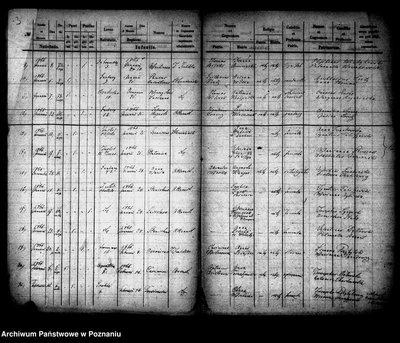 Obraz 3 z jednostki "Księga urodzin"