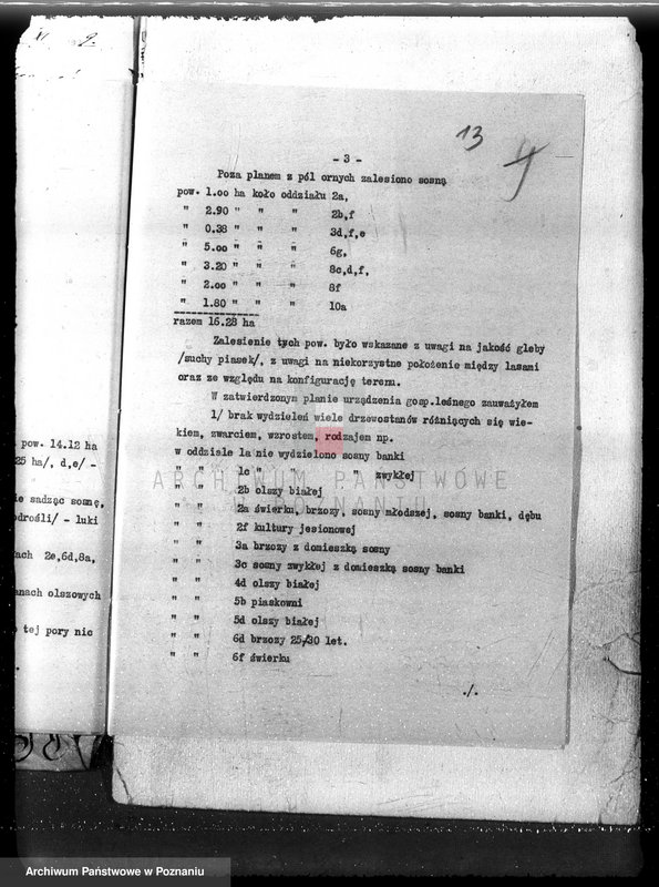 Obraz 17 z jednostki "Nadzór nad gospodarką w lasach majętności Wojnowo powiat obornicki"