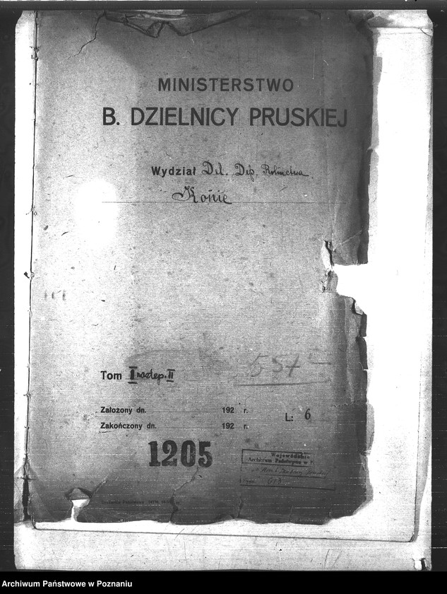 Obraz 4 z jednostki "Konie"