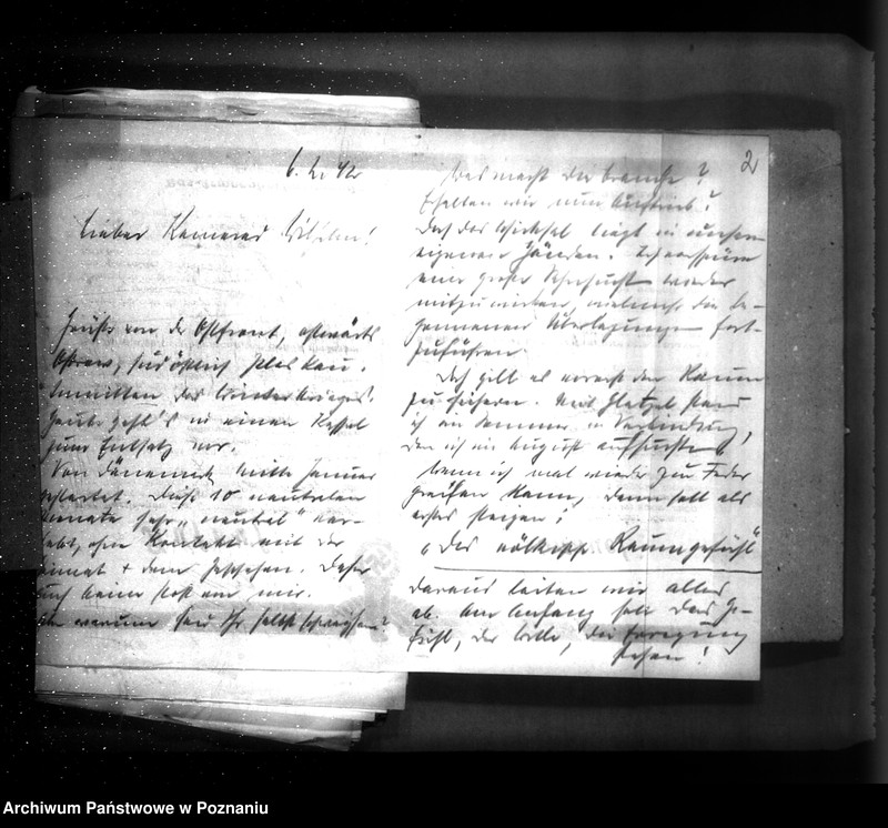 Obraz 6 z jednostki "Dörr- Posener Briefe (Korespondencja z porucznikiem Dörr)"